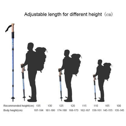 hiking stick with their size with a man